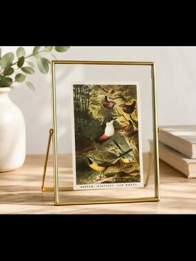 Vintage Style Brass Floating Glass Frame 8x6 Bird Print Dipper Wagtails Wrens